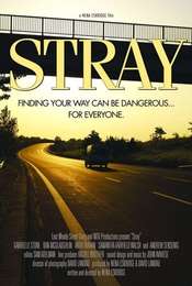 Stray