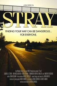 Stray - Poster