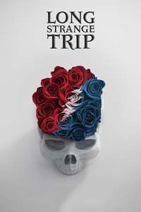 Long Strange Trip - Poster