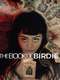 The Book of Birdie