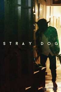 Stray Dog - Poster