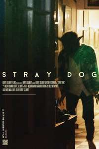Stray Dog - Poster