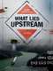 What Lies Upstream