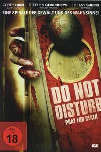Do Not Disturb - Posters