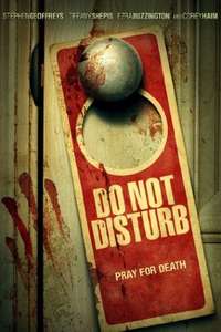 Do Not Disturb - Posters
