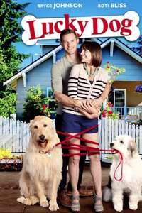 Lucky Dog - Posters