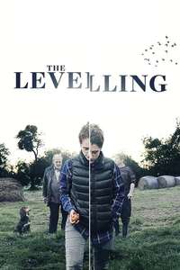 The Levelling - Poster