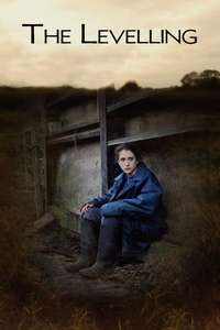 The Levelling - Poster