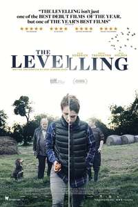 The Levelling - Poster
