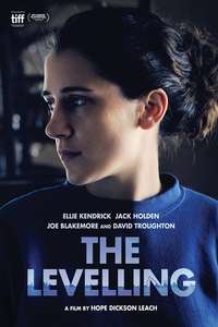 The Levelling - Poster