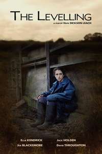 The Levelling - Poster