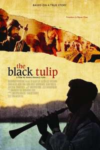 The Black Tulip - Posters