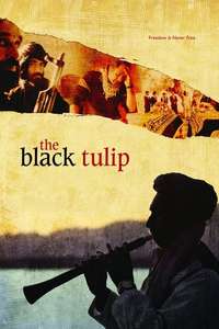 The Black Tulip - Posters