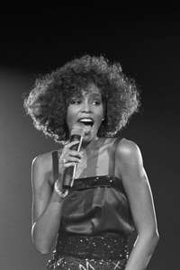 Whitney: Can I Be Me - Poster