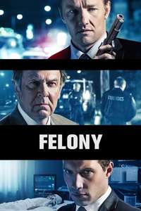Felony - Posters