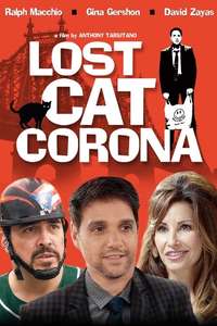 Lost Cat Corona - Poster
