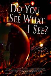 Do You See What I See?