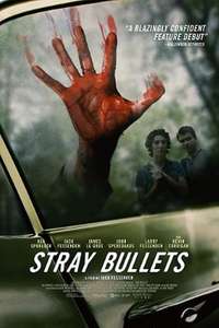 Stray Bullets - Poster