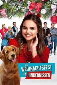 Holiday Joy - Poster