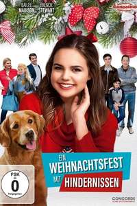 Holiday Joy - Poster