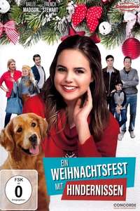 Holiday Joy - Poster