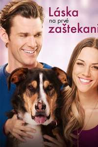 Love at First Bark - Poster