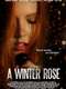A Winter Rose