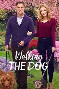 Walking the Dog - Poster