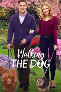 Walking the Dog - Poster