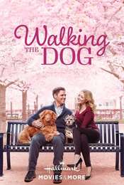 Walking the Dog