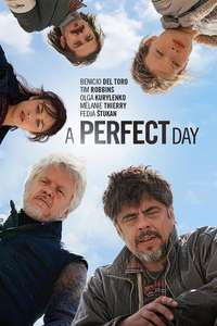 A Perfect Day - Poster