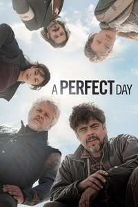 A Perfect Day - Poster