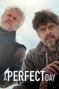 A Perfect Day - Poster