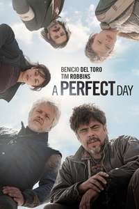 A Perfect Day - Poster