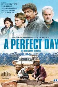 A Perfect Day - Poster