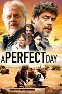A Perfect Day - Poster