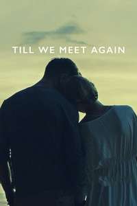 Till We Meet Again - Poster