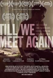 Till We Meet Again
