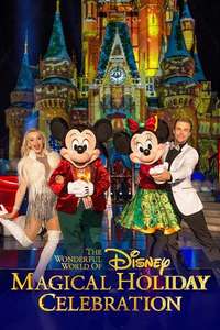 The Wonderful World of Disney: Magical Holiday Celebration - Poster