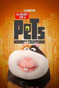 Norman Television - Poster