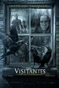Visitors - Poster