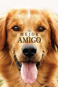 A Dog's Purpose - Poster