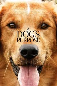 A Dog's Purpose - Poster