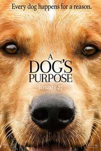 A Dog's Purpose - Poster