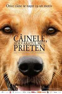 A Dog's Purpose - Poster