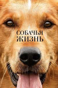 A Dog's Purpose - Poster