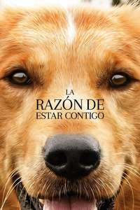A Dog's Purpose - Poster