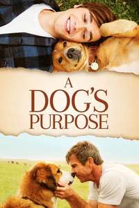 A Dog's Purpose - Poster
