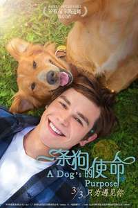 A Dog's Purpose - Poster