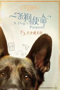 A Dog's Purpose - Poster